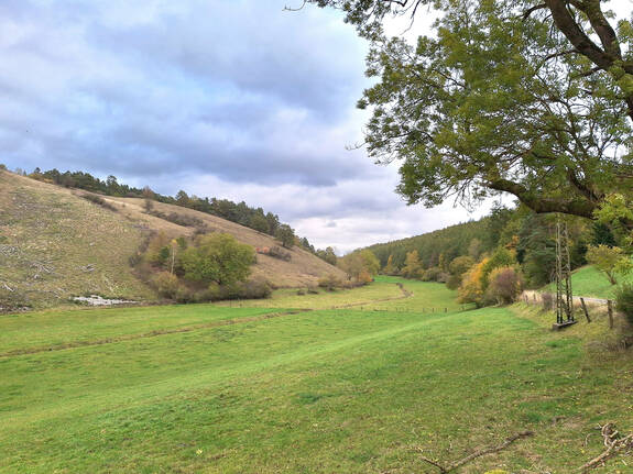 Wanderwege