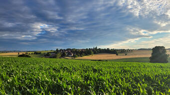 Heddinghausen