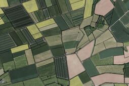 Verpachtung städtischer Flächen