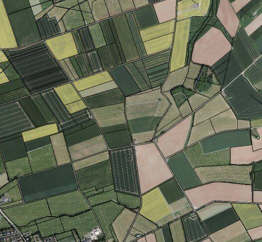 Verpachtung städtischer Flächen