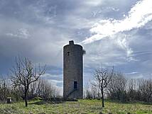 Mäuseturm