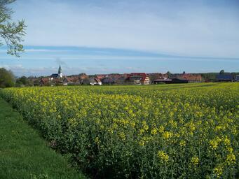 Überblick über Meerhof