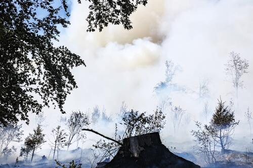 Brand