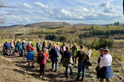 Waldbegang für die Marsberger Ratsmitglieder und Ortsbürgermeister